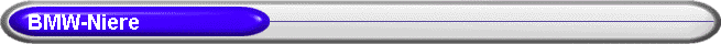     BMW-Niere