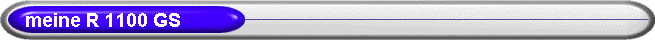     meine R 1100 GS