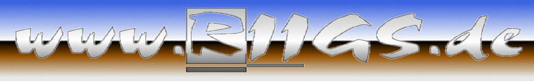 www.r11gs.de